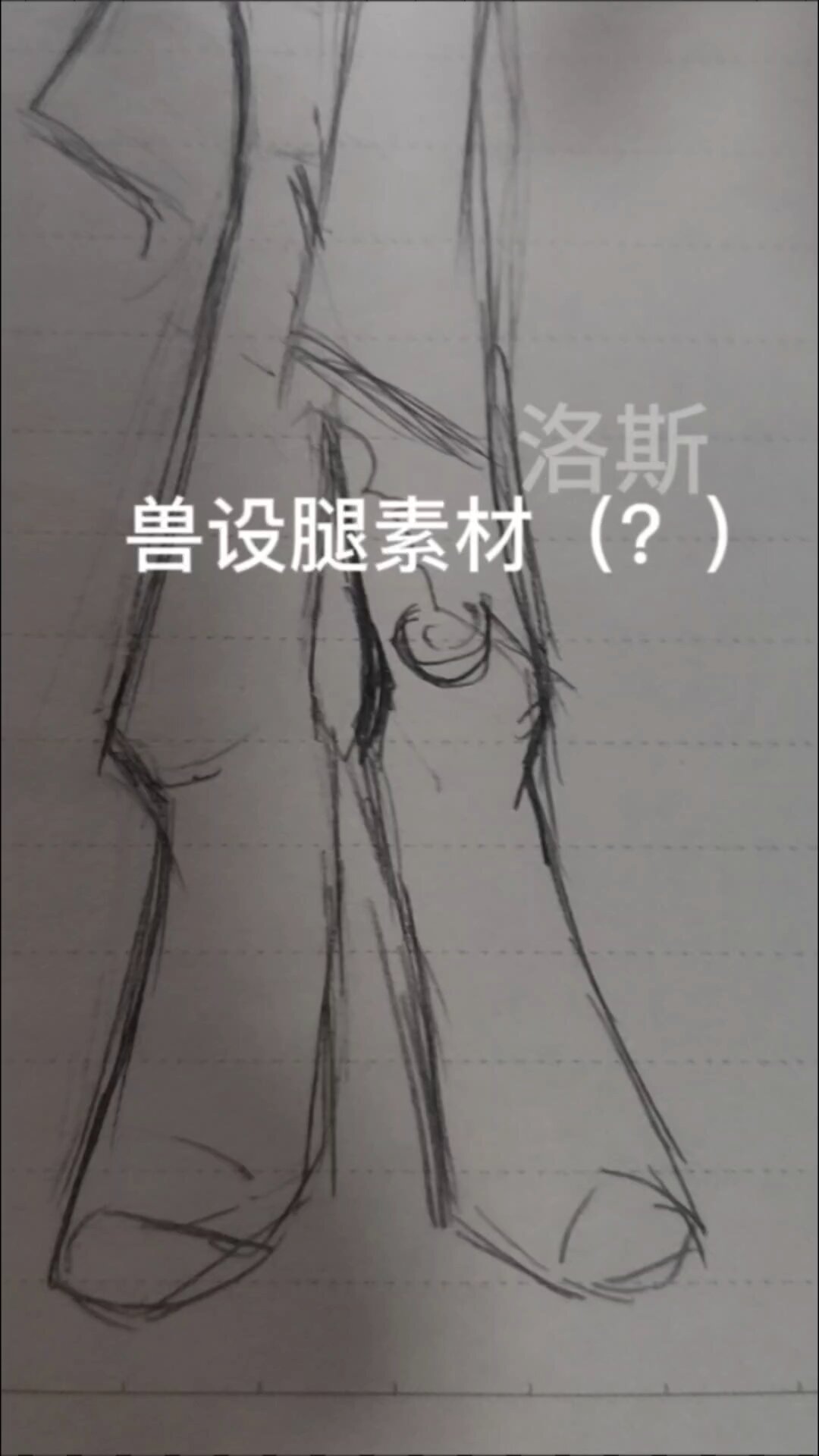 兽设腿部教程~素材