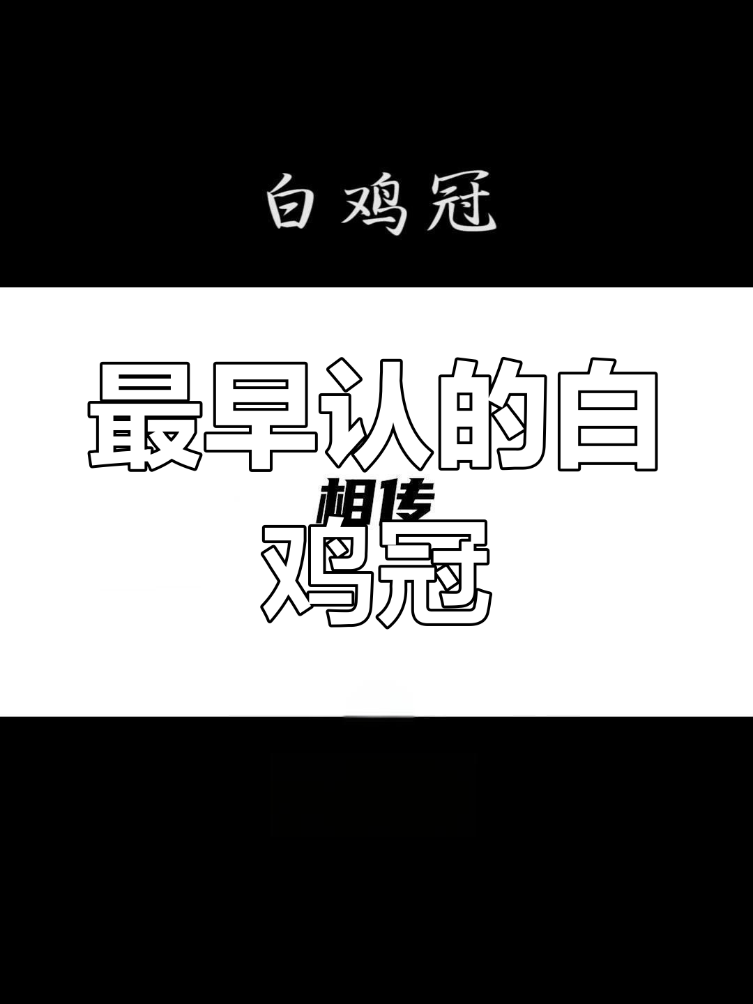 泰国斗鱼品种全解析,颜色与特征大揭秘
