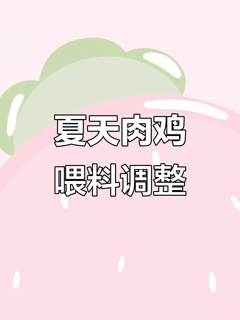 夏季肉鸡喂料技巧,调整时间提高采食量