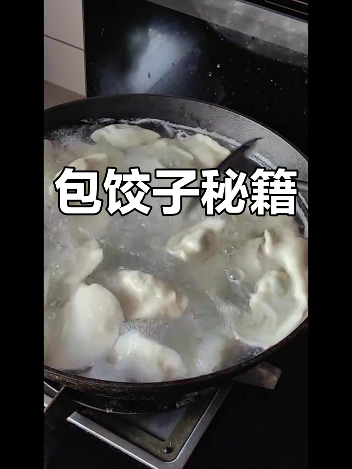 包饺子技巧全解析,随时提问!