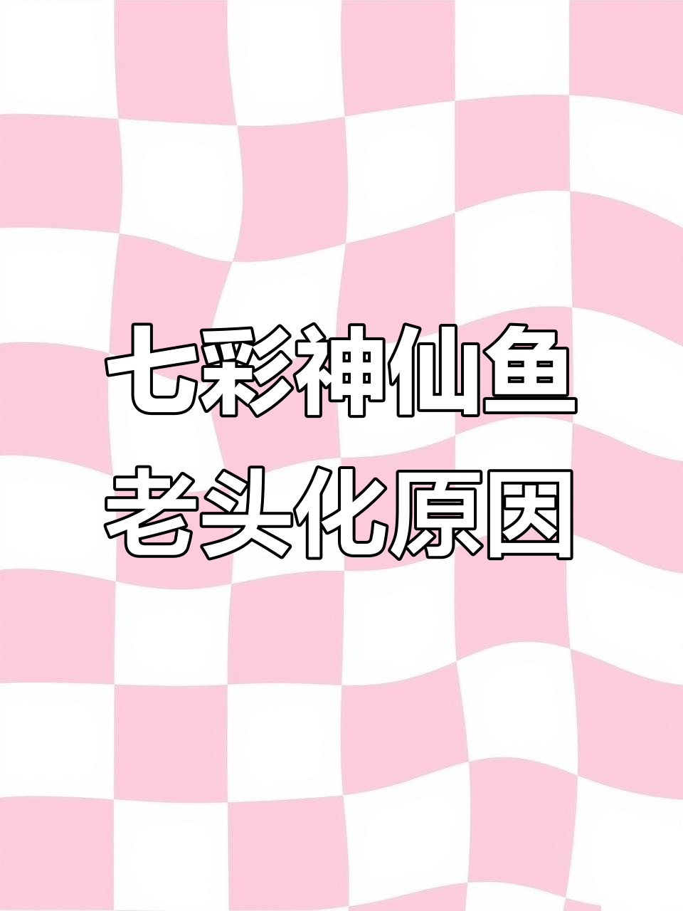 七彩神仙鱼老头化的六大原因,避免畸形生长