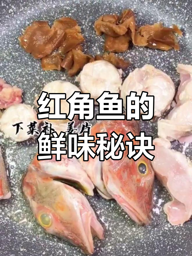 潮汕红角鱼焖煮,鲜美十足,拌饭绝配!
