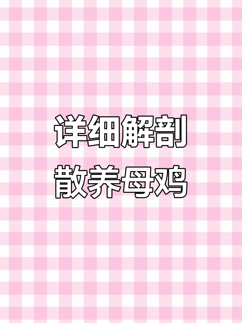 散养母鸡解剖全流程，带你了解内部结构与器官功能
