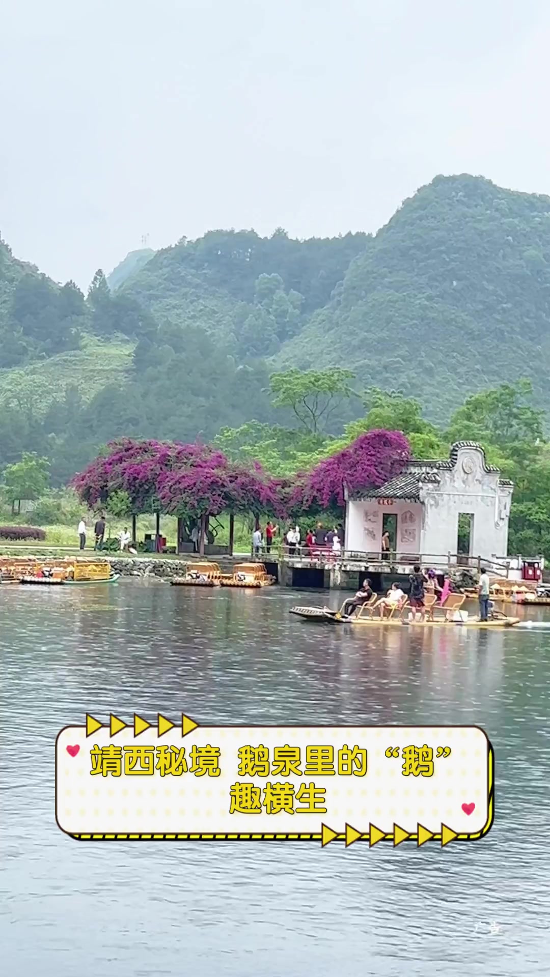 靖西秘境,鹅泉里的“鹅”趣横生