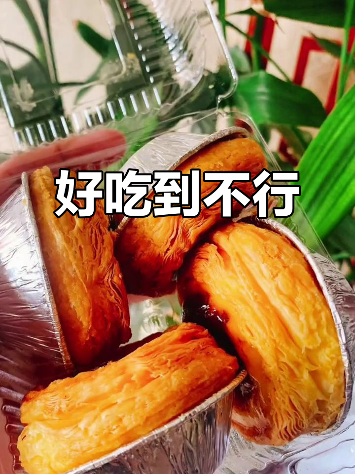 苏门子弟带你吃遍网红美食,喵星人超爱!