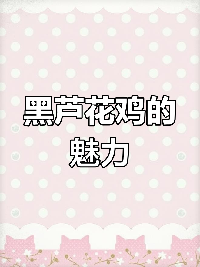 大种黑芦花鸡:颜值担当,滋补保健两不误