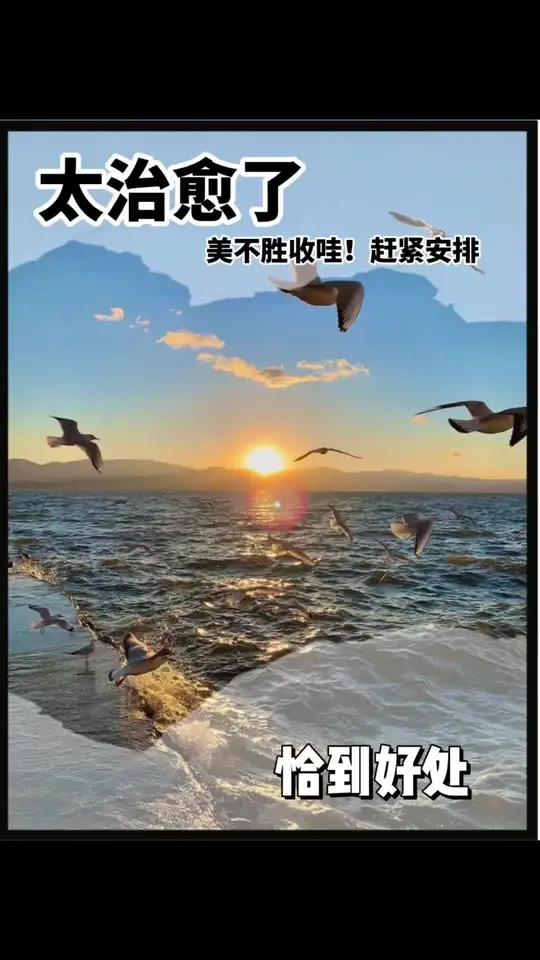 麦当劳整整12件套才88!连100%纯牛肉的安格斯厚牛堡都有哦!性价比真的高 汉堡吃个够 