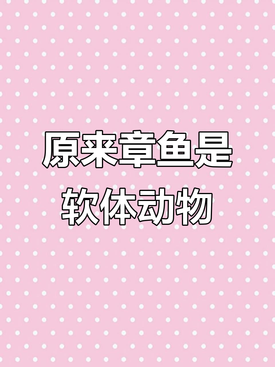 章鱼不是鱼,竟是软体动物!揭秘章鱼的神奇身体结构