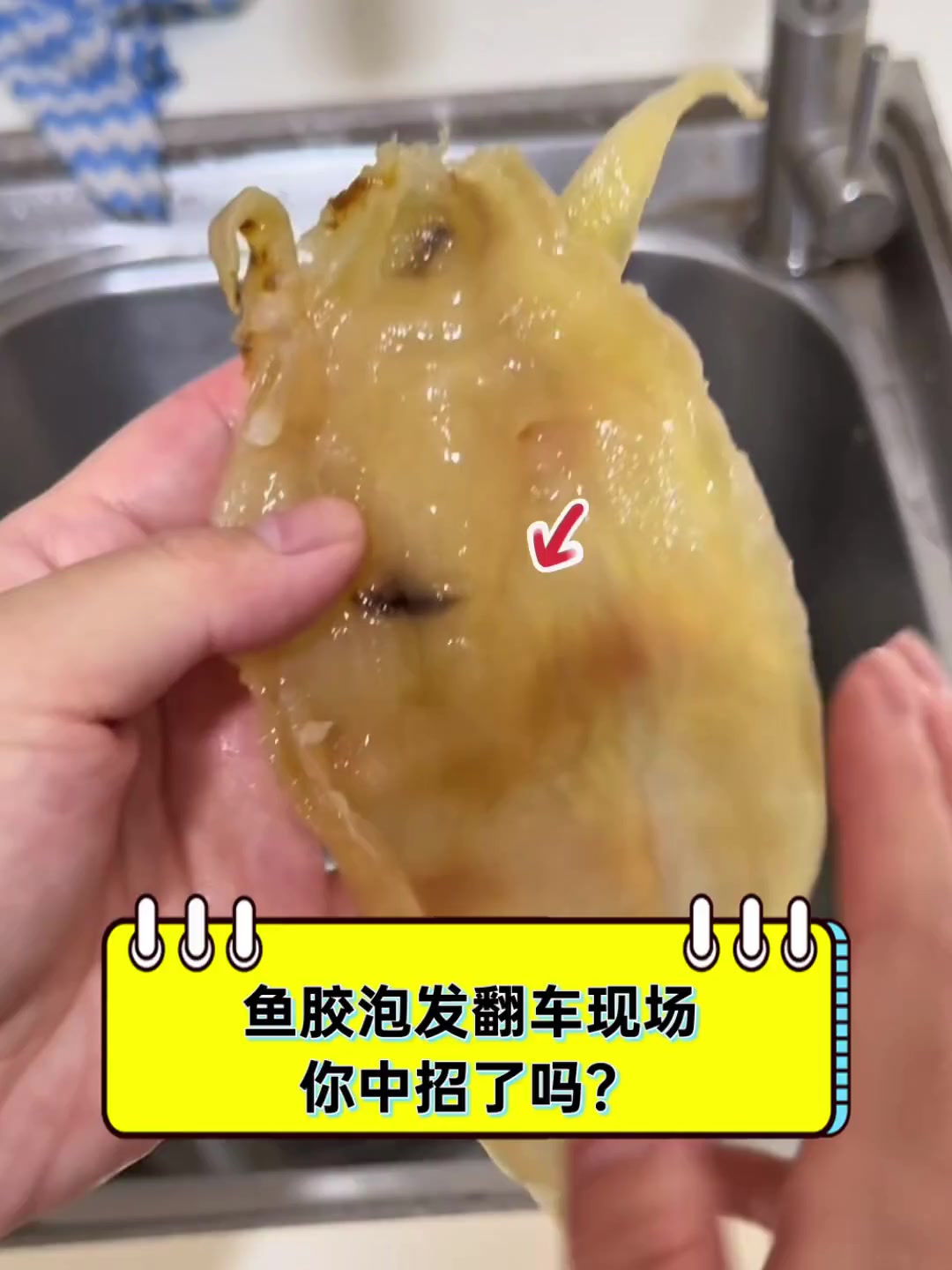 鱼胶泡发翻车现场,你中招了吗?