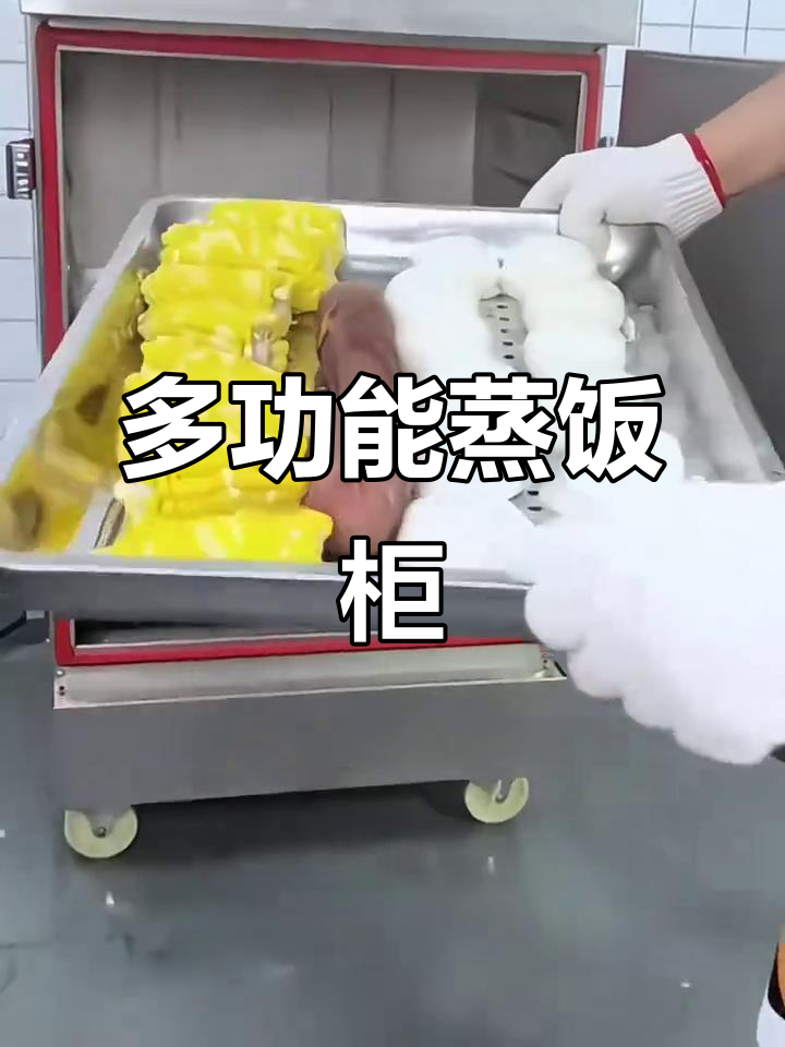 多功能商用蒸饭柜,源头厂家直供,品质保障