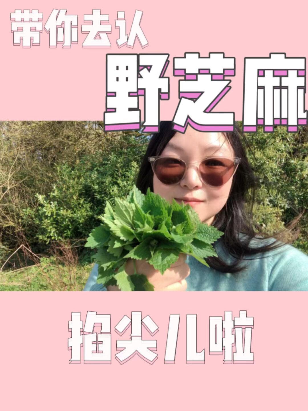 野菜:野芝麻(山苏子)