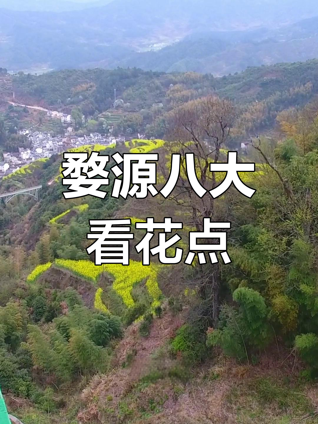 婺源油菜花最佳赏景地推荐,3月中下旬最美丽