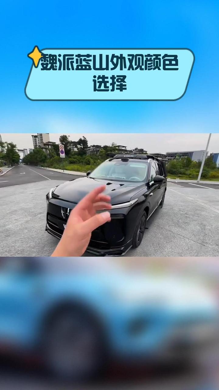 魏派蓝山外观颜色选择