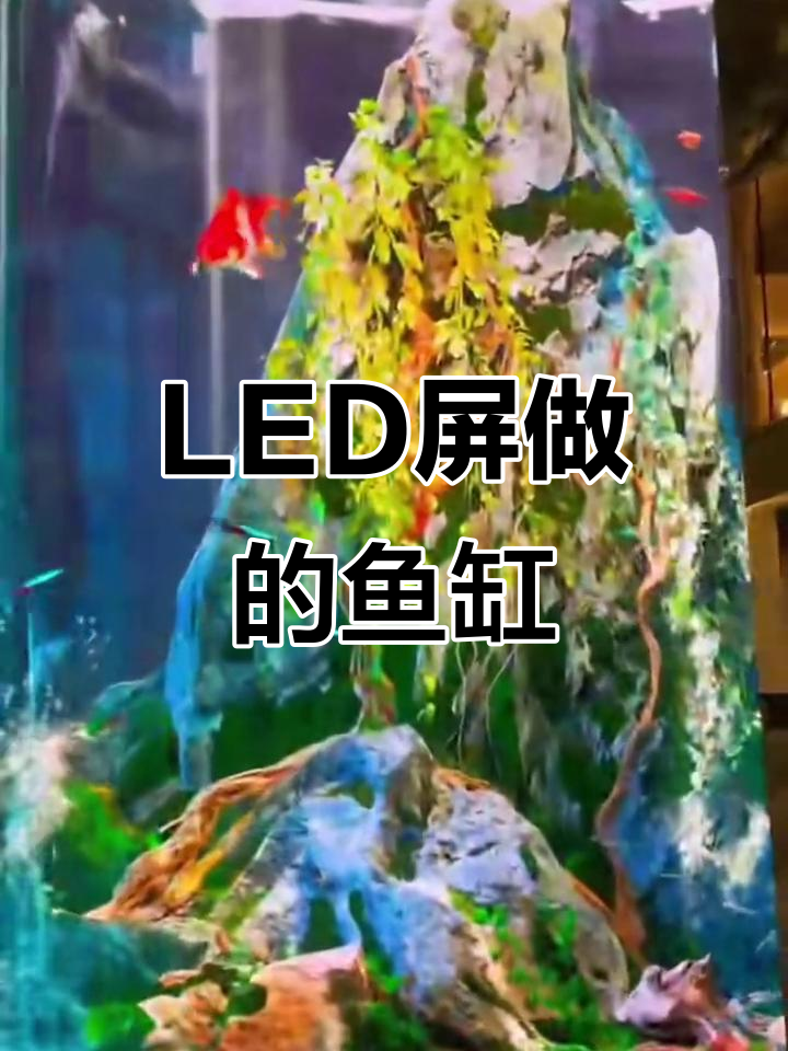 用LED显示屏做鱼缸,真假难辨的视觉冲击