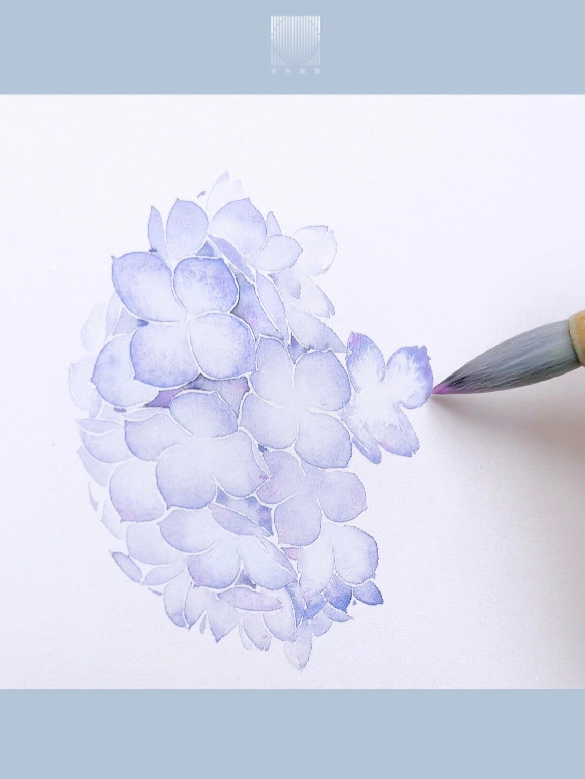 月升笔墨|国画·没骨蓝紫色绣球花