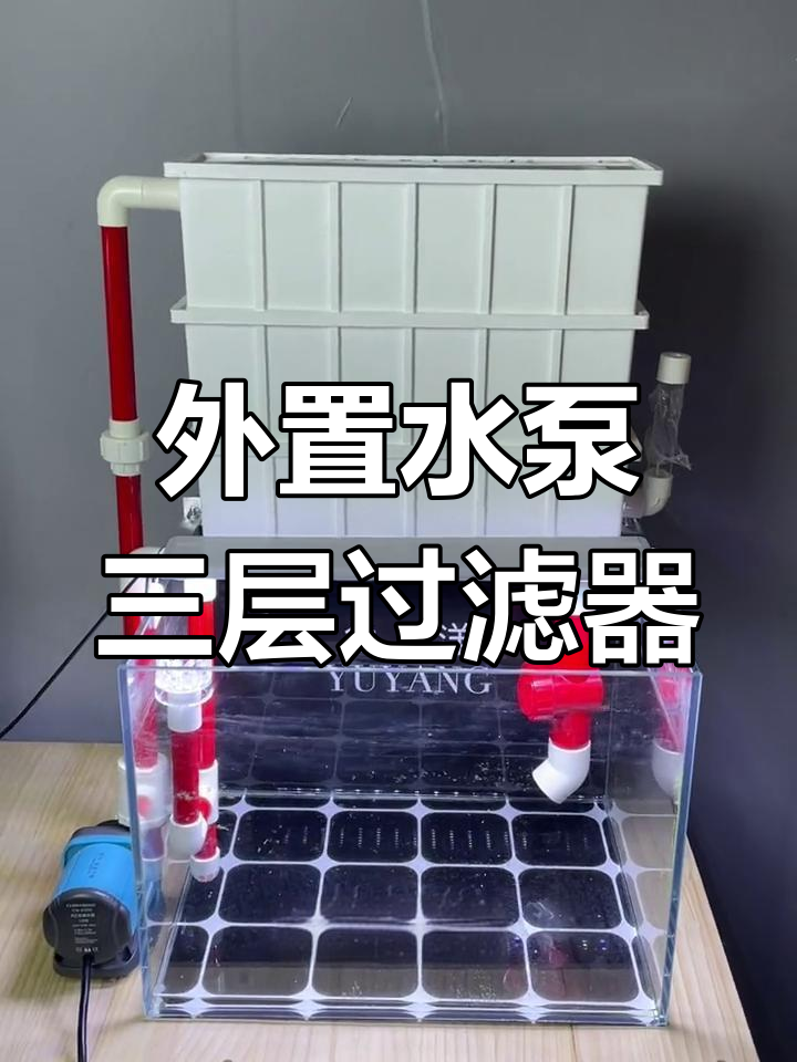 桌面小鱼缸定制水泵,外置上过滤三层设计展示
