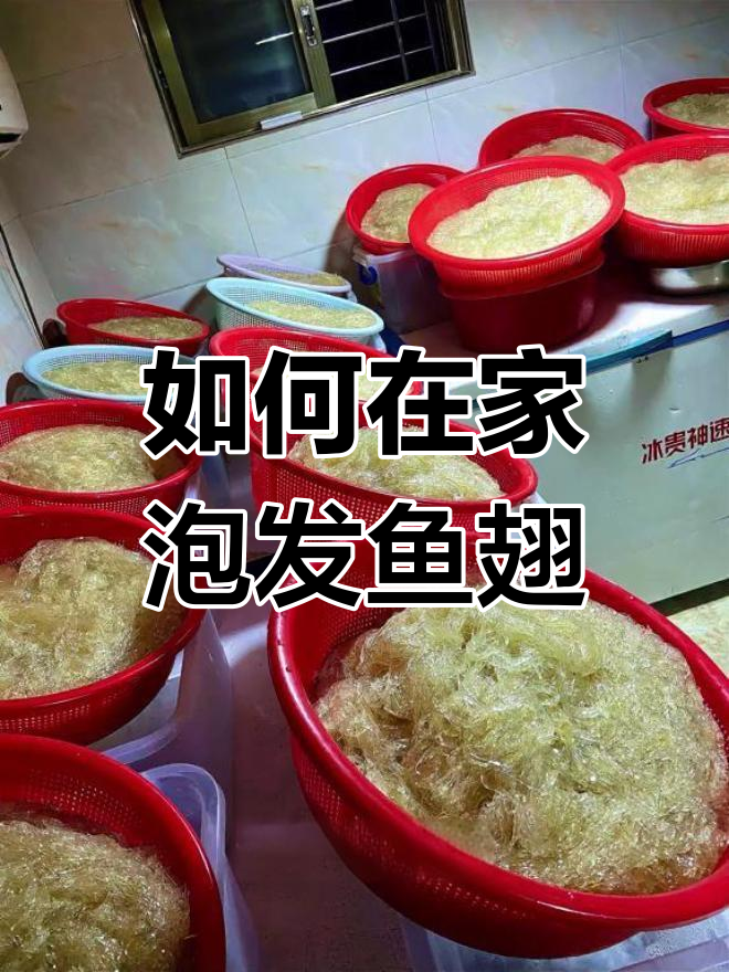家庭鱼翅泡发全攻略,轻松学会