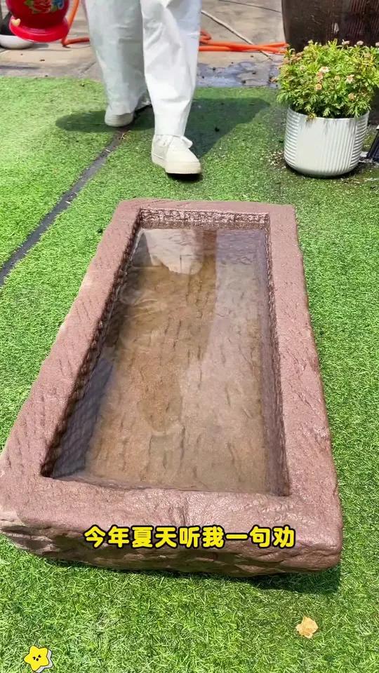 水培碗莲 家里但凡有个瓶瓶罐罐、小碗、鱼缸的,今年夏天这个 碗莲 一定要安排上!有水就能种
