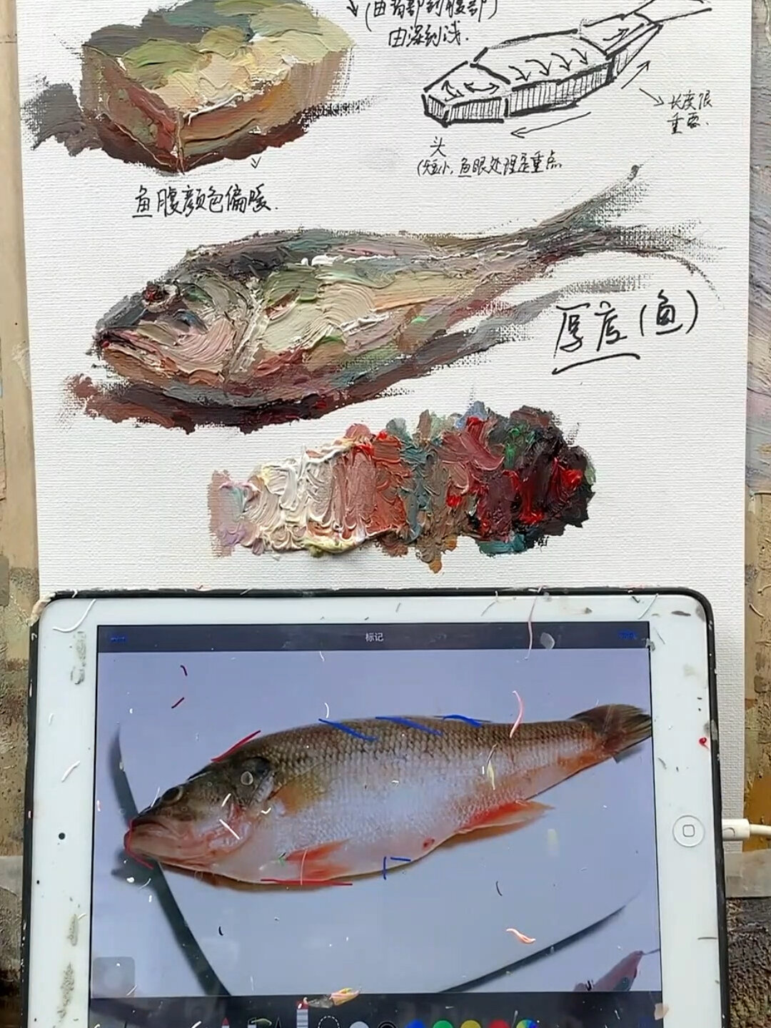 一分钟教你轻松画小鱼干