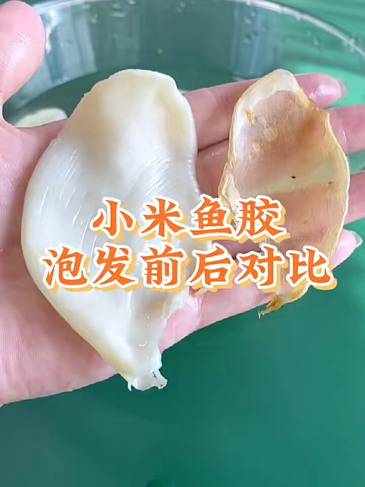 入门级鱼胶小米胶补充胶原蛋白补气血泡发!