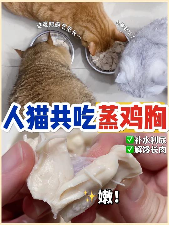 人猫共吃鲜嫩蒸鸡胸肉补水补出大尿团