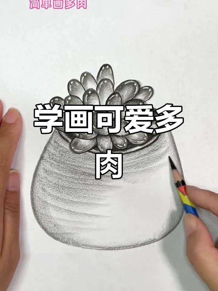 零基础学画多肉，简单炭笔画法轻松上手