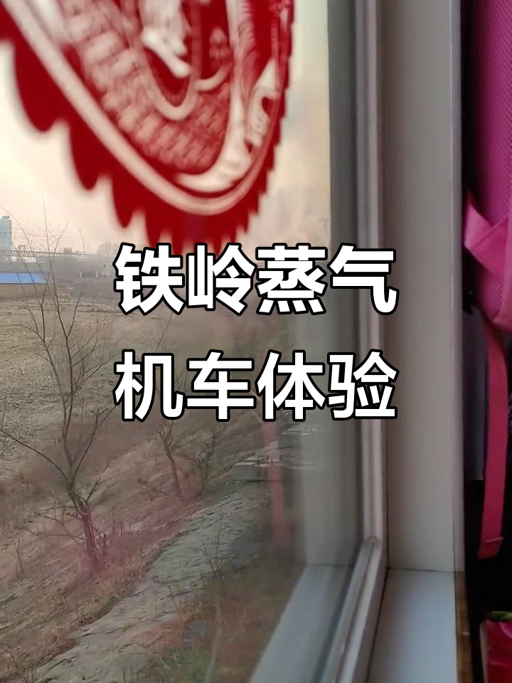 铁岭调兵山蒸汽机车节:曲线左窗瞭望,感受历史与自然的完美结合