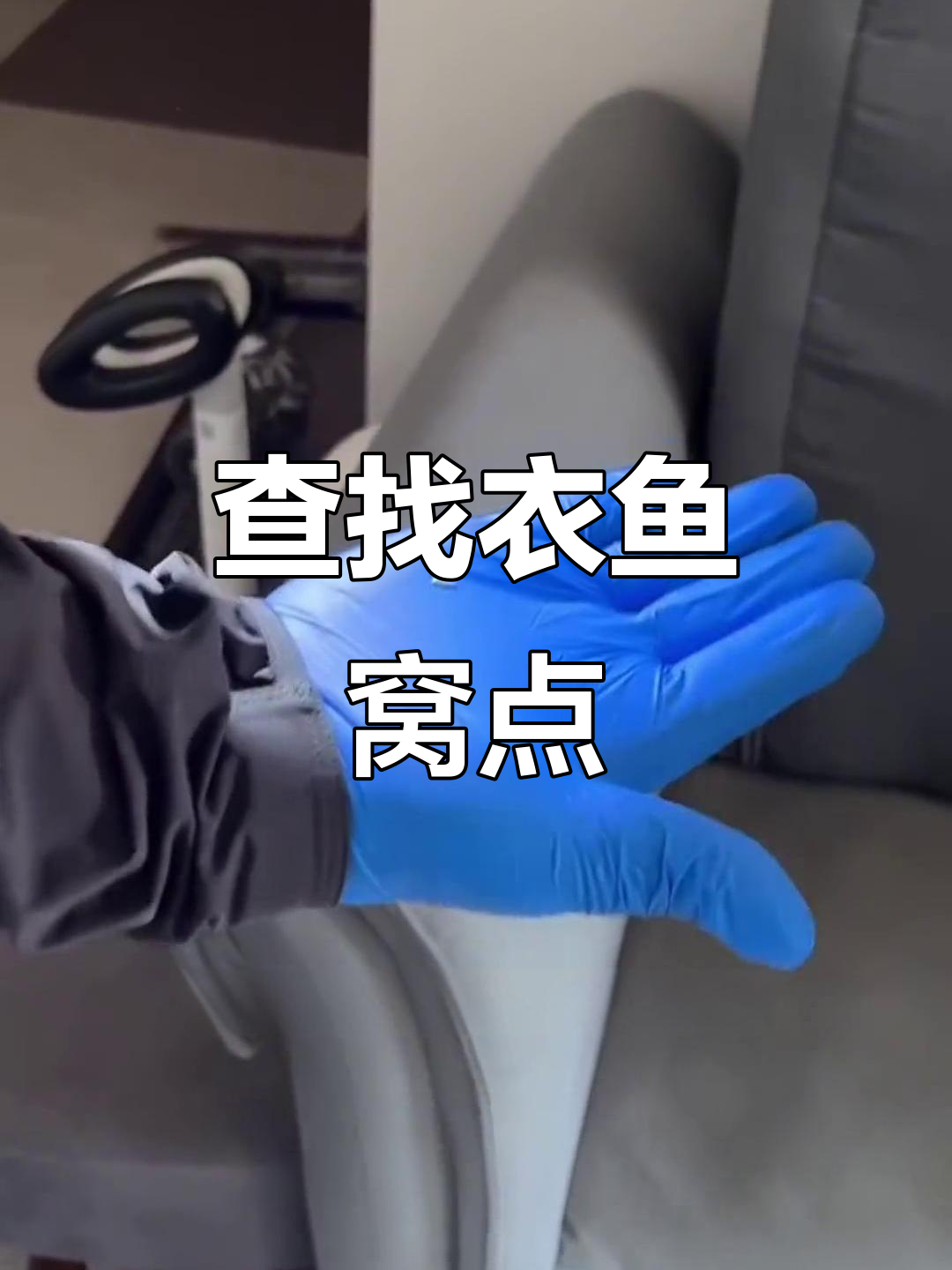 衣鱼虫藏身何处?找到它们的窝点并清除