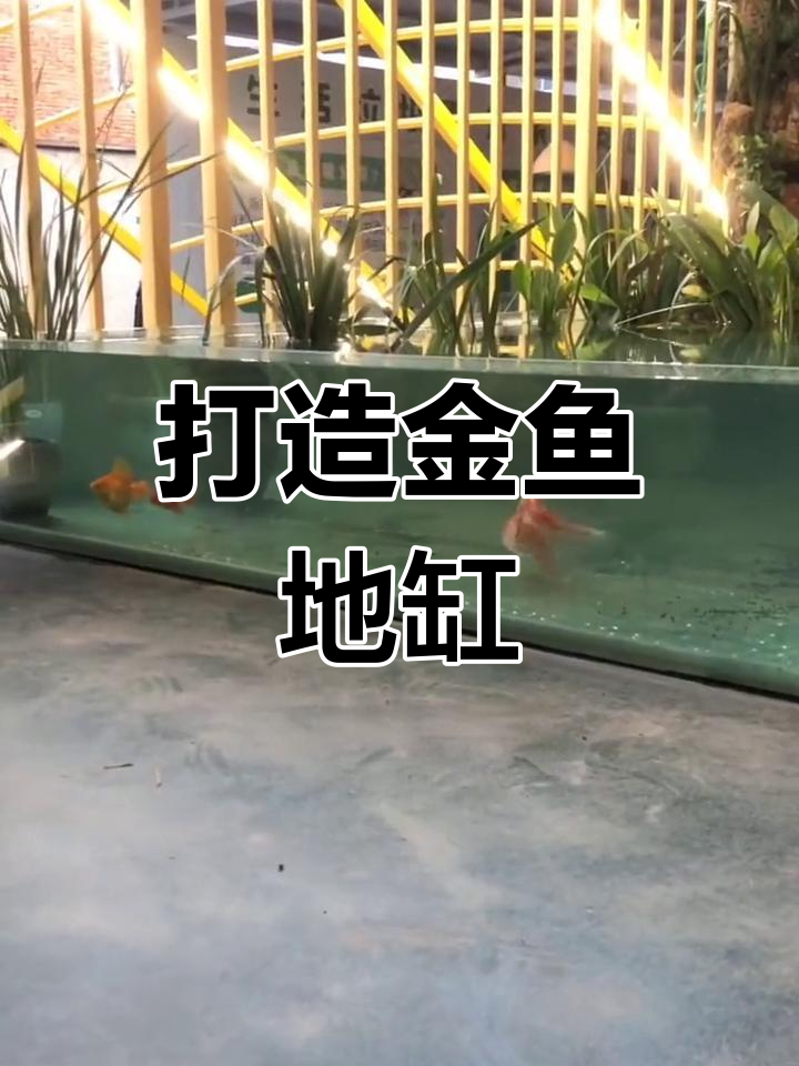 金鱼地缸制作教程:玻璃拼接与过滤系统搭建