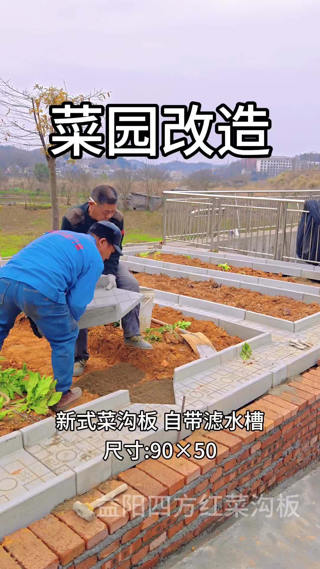 菜地设计 菜沟板 庭院设计 菜园 自家菜园的新鲜蔬菜