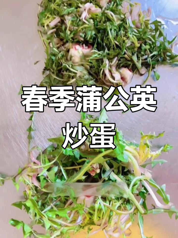 春天蒲公英炒鸡蛋,去火又美味