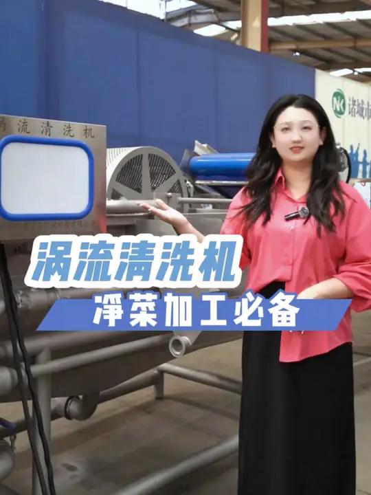 涡流清洗机,净菜加工必备的设备 涡流清洗机 涡流清洗机设备 涡流清洗机生产厂家 净菜加工清