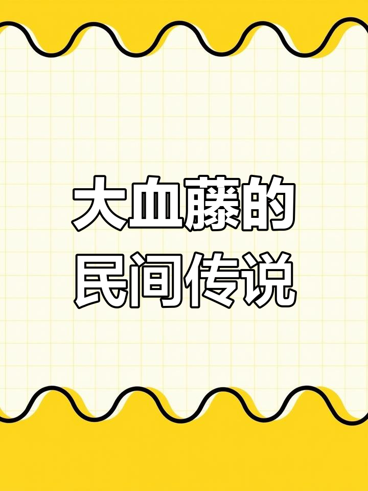 明代猎人误食大血藤,竟成传奇药方