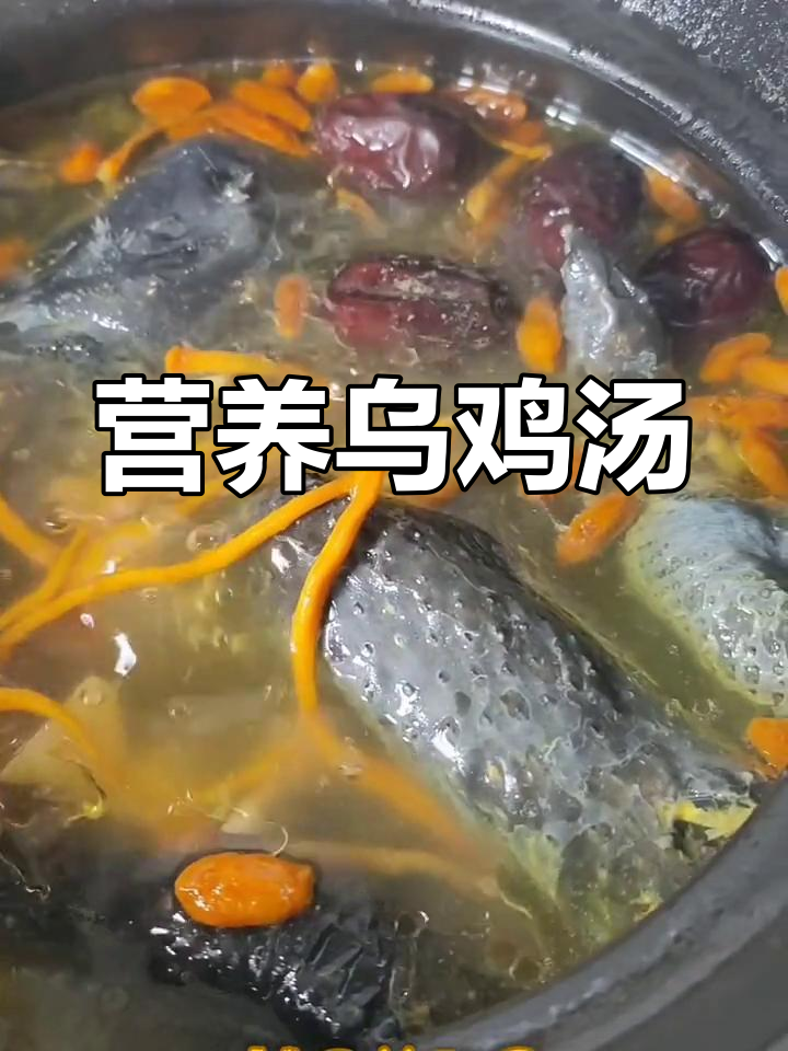 7月虫草花炖乌鸡,滋补肝肾止咳化痰佳品