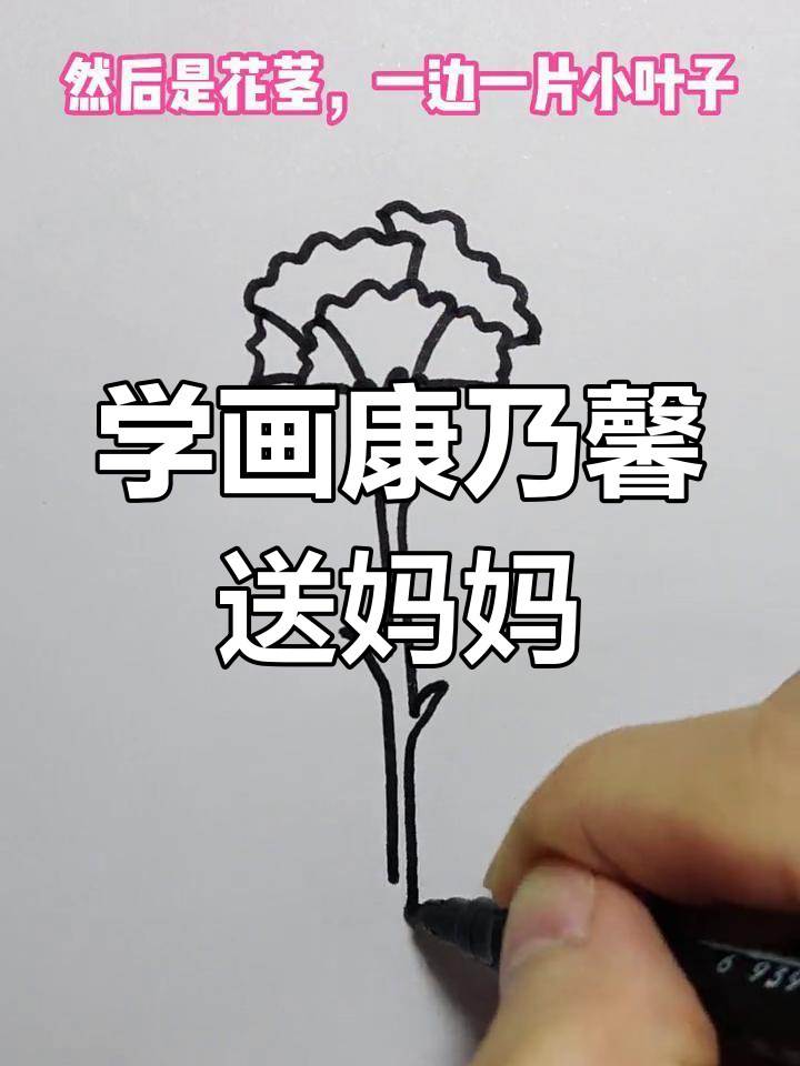 母亲节康乃馨简笔画,画出最美的花朵送给妈妈