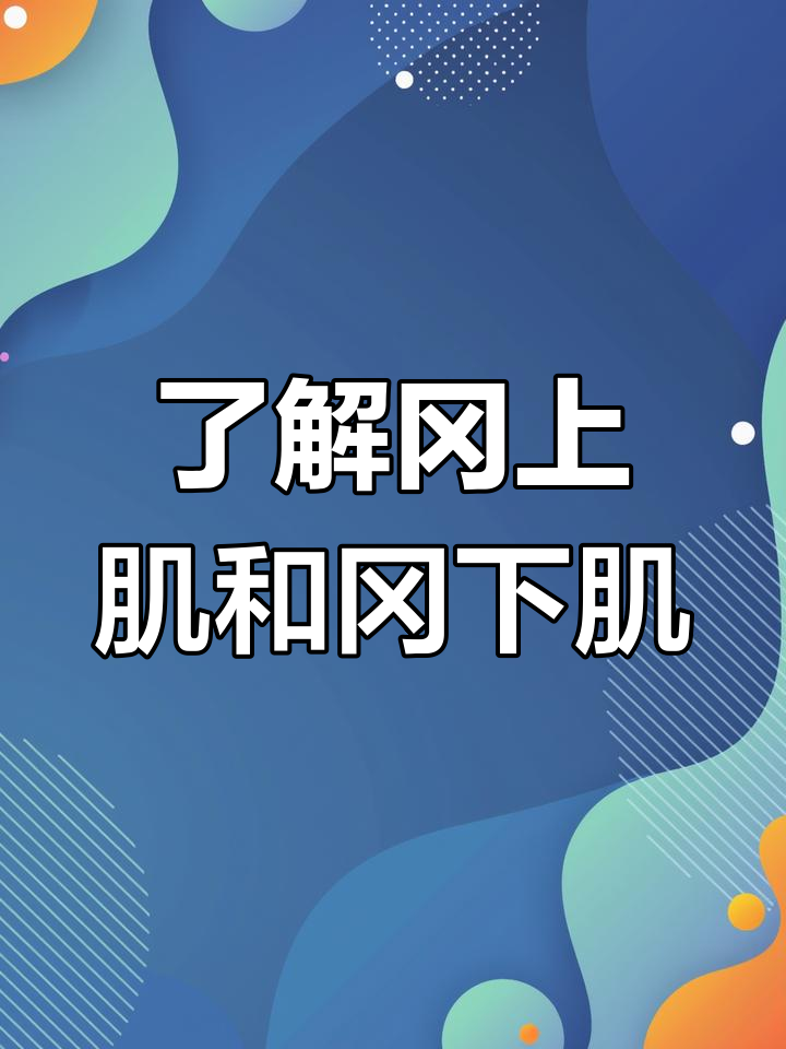 冈上肌与冈下肌:肩部肌肉结构揭秘