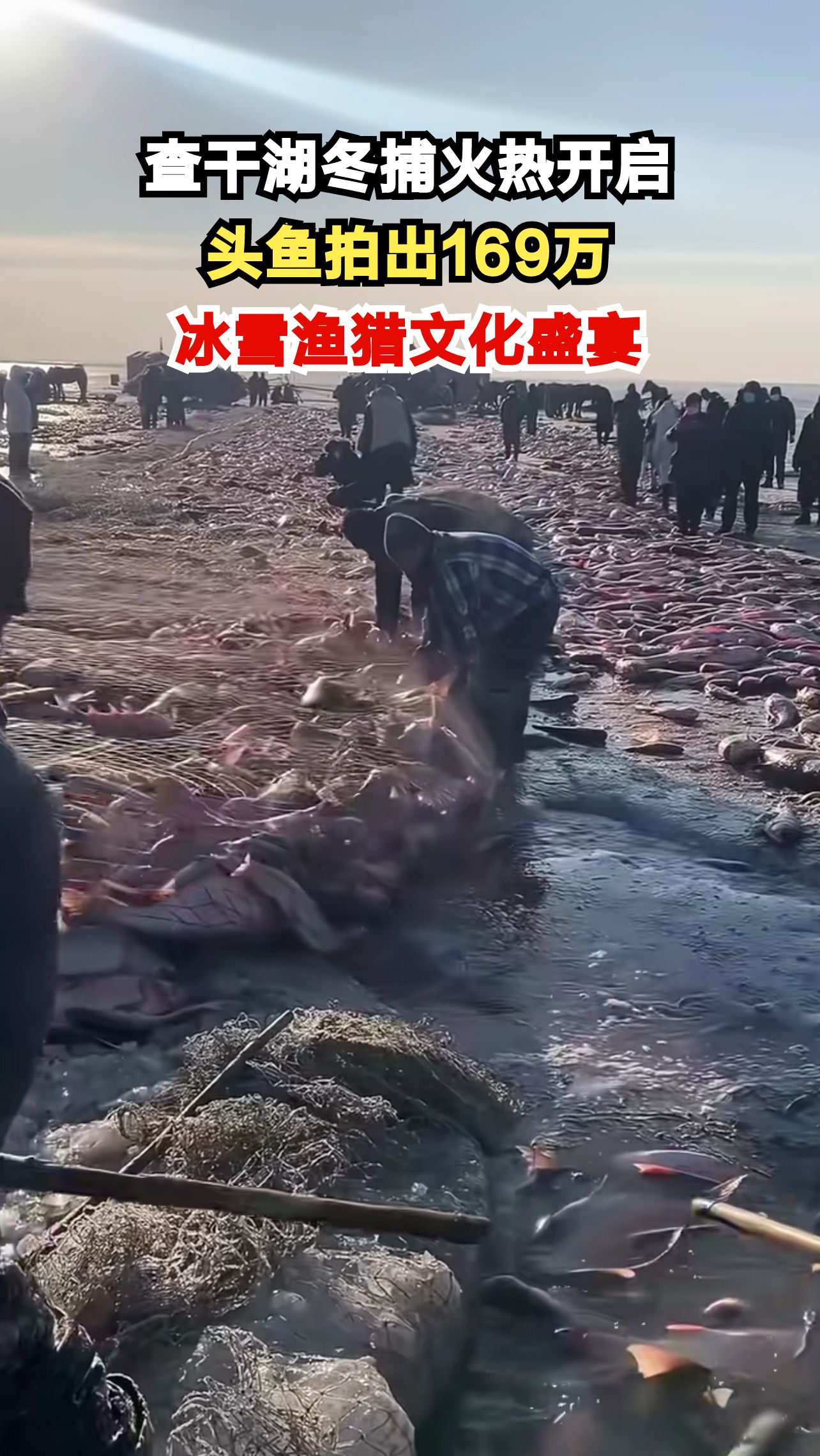 零下20度的查干湖上,头鱼拍卖为何能拍出169万天价?