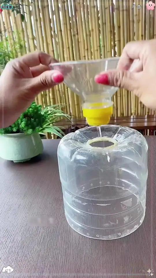 瓶子变废为宝做实用的花盆种菜盆