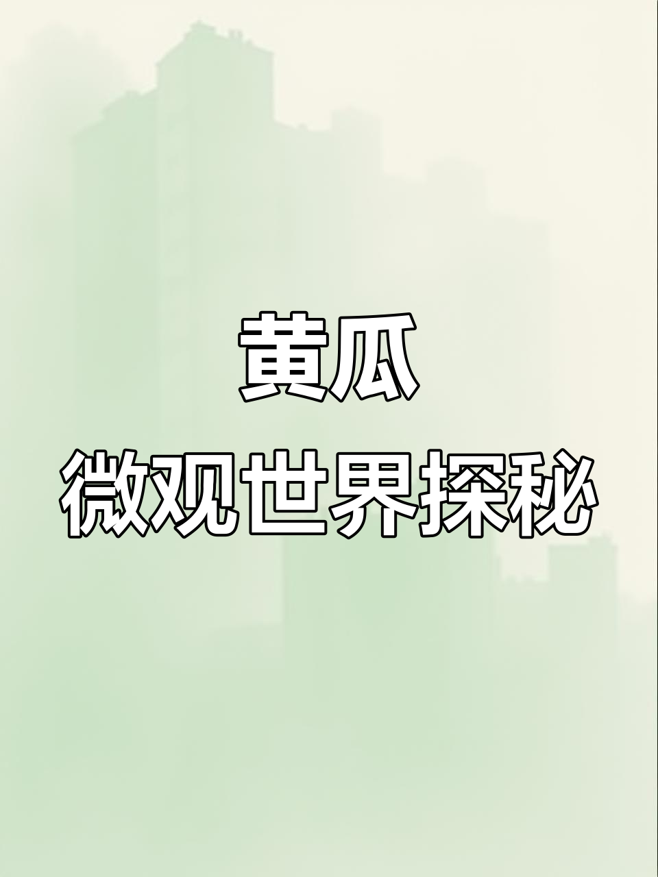 显微镜下黄瓜细胞大揭秘,2000倍放大看水分分布
