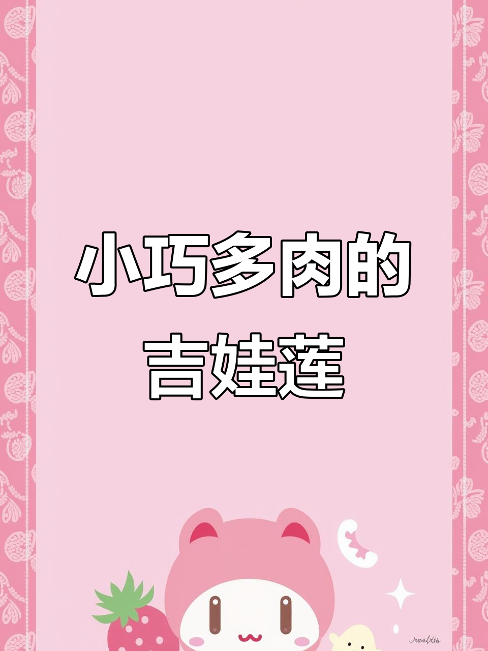 吉娃莲:小巧玲珑的多肉植物,美丽深粉红花朵