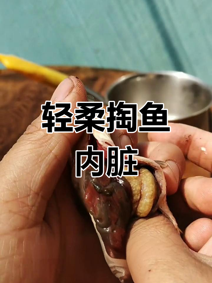 小心掏鱼内脏,避免破坏苦胆