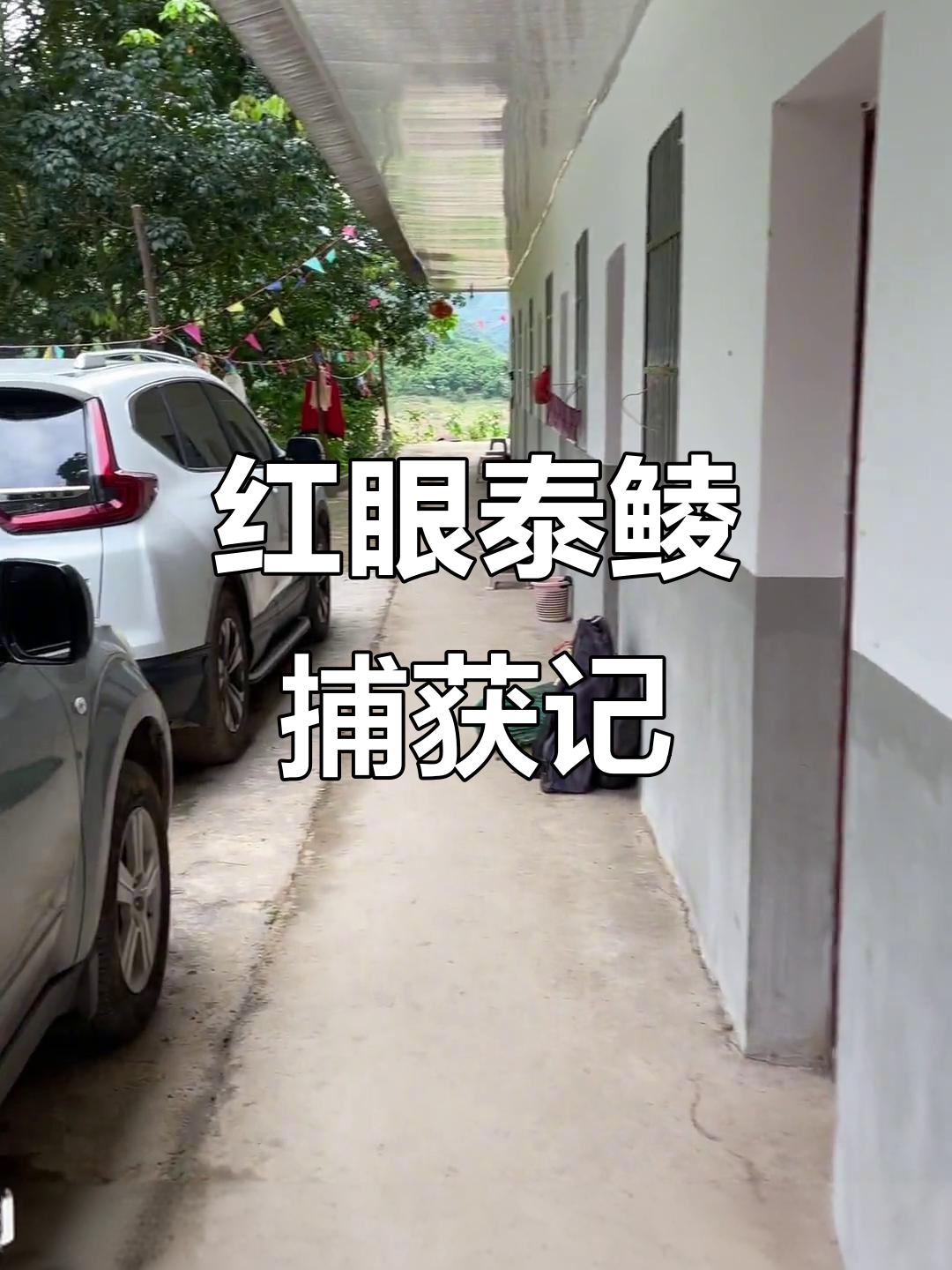 成功捕获红眼泰鲮，普西桥电站钓鱼之旅圆满结束！