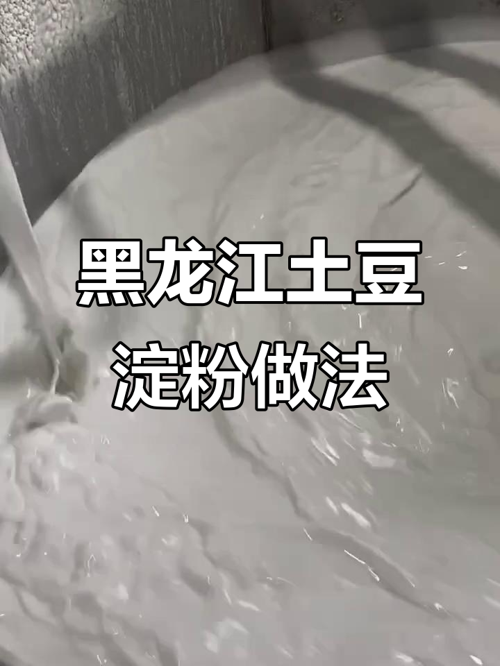 黑龙江土豆淀粉制作大揭秘,如何做正宗粉面蒸饺子