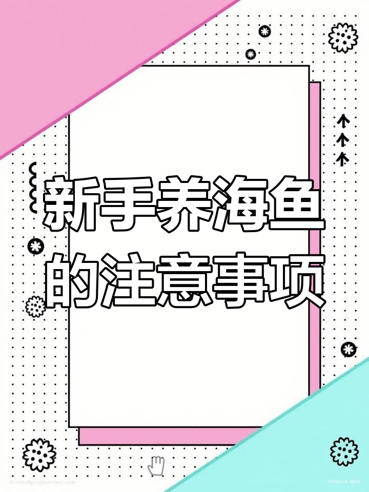海缸新手必看:海水鱼饲养全攻略