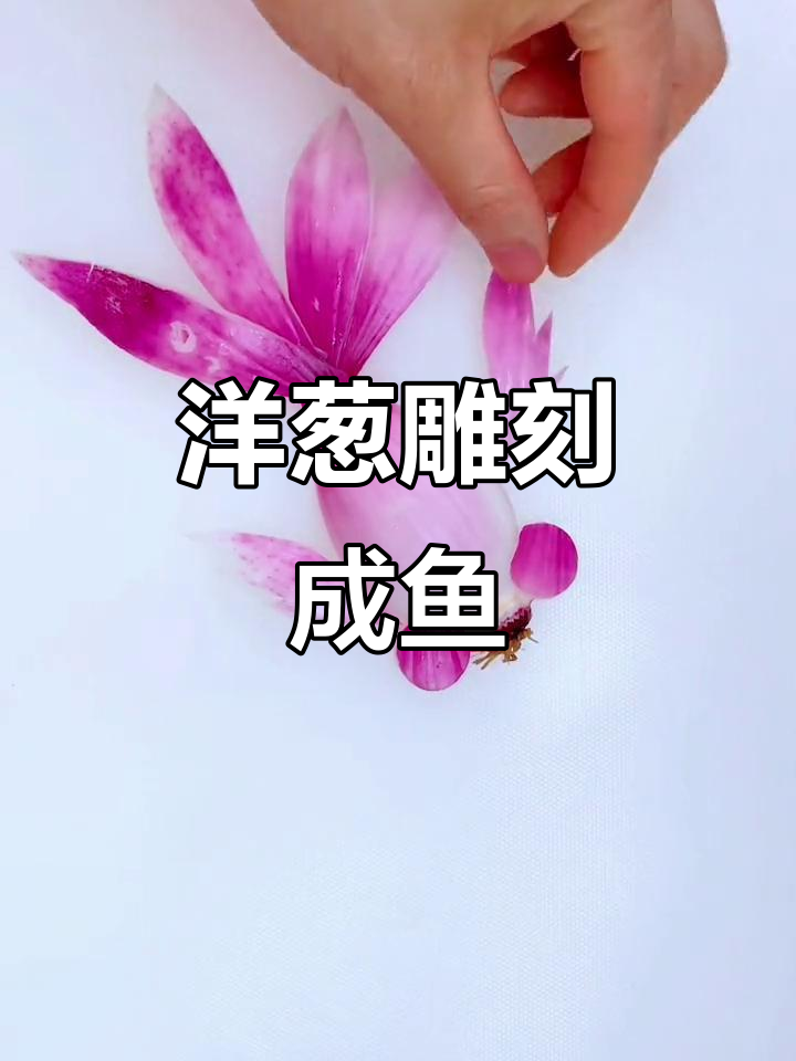 雕刻洋葱变鱼,竟然能笑出眼泪!创意手工大挑战
