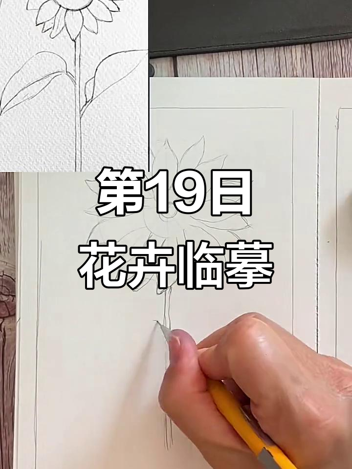 21天花卉临摹挑战:第19天的作品展示