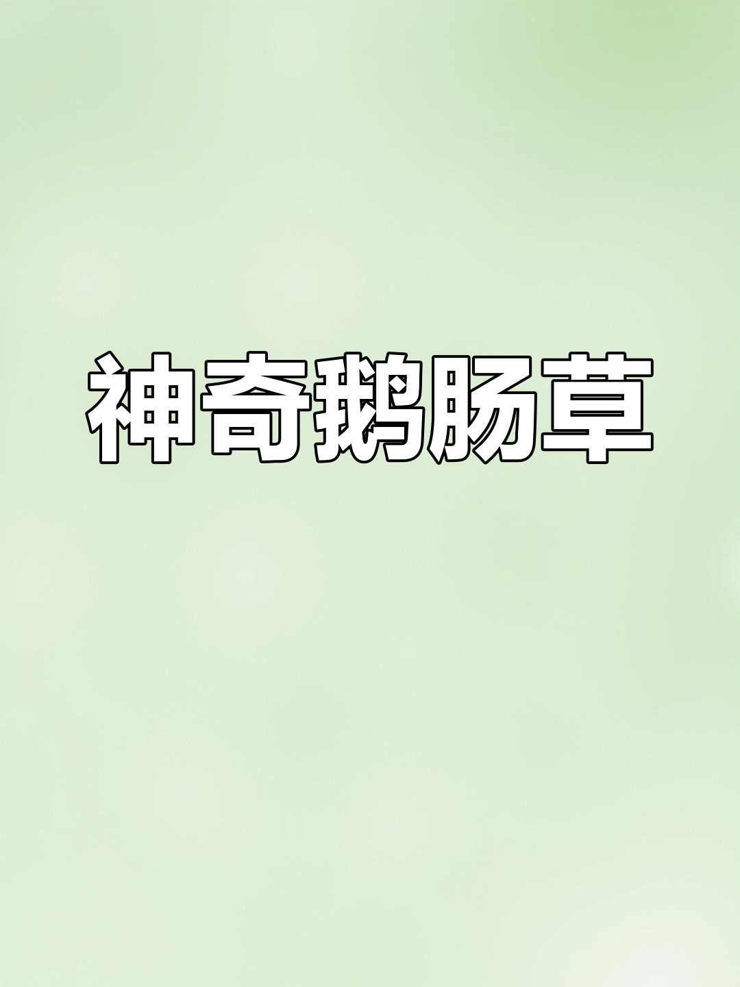 女孩必备!这种“杂草”竟然能做旗袍,还能当煎饼和面条?