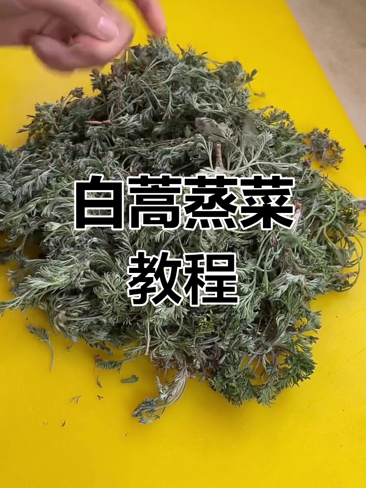 用白蒿做蒸菜,简单又美味,教你如何调出完美料汁
