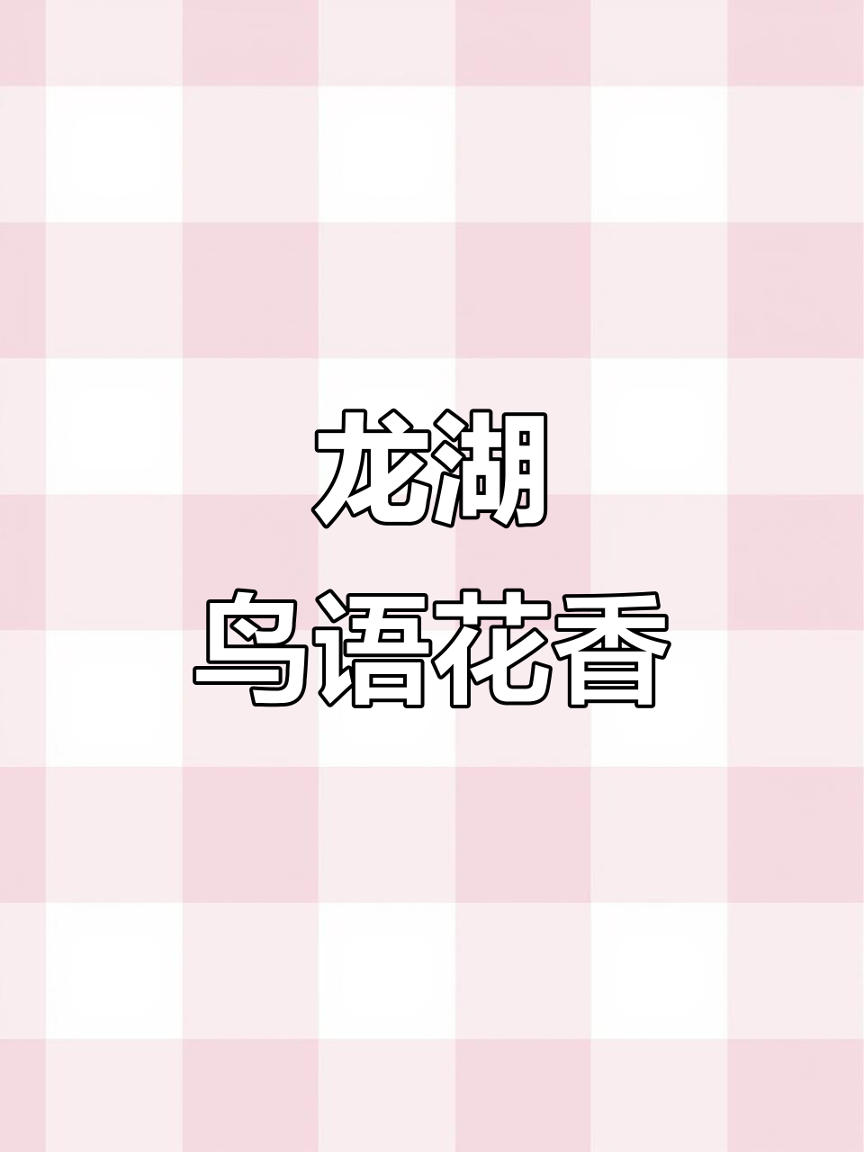 淮阳龙湖成鸟类乐园,天鹅灰雁纷纷造访,美景令人陶醉
