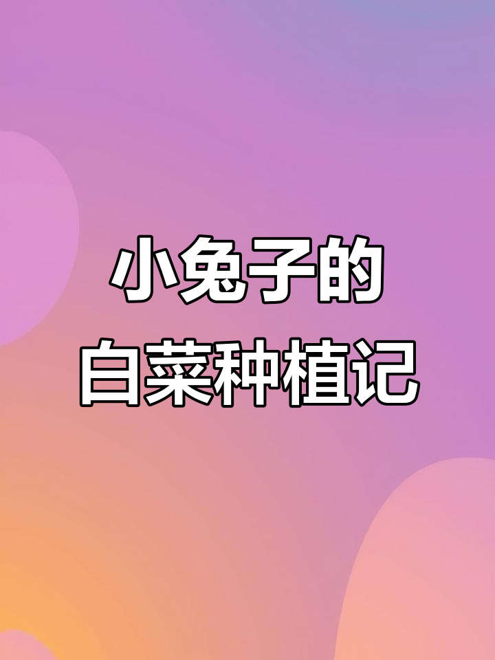 小兔子种菜的故事:从翻土到收获的辛勤与喜悦
